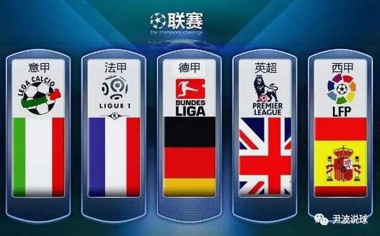 的新人不仅