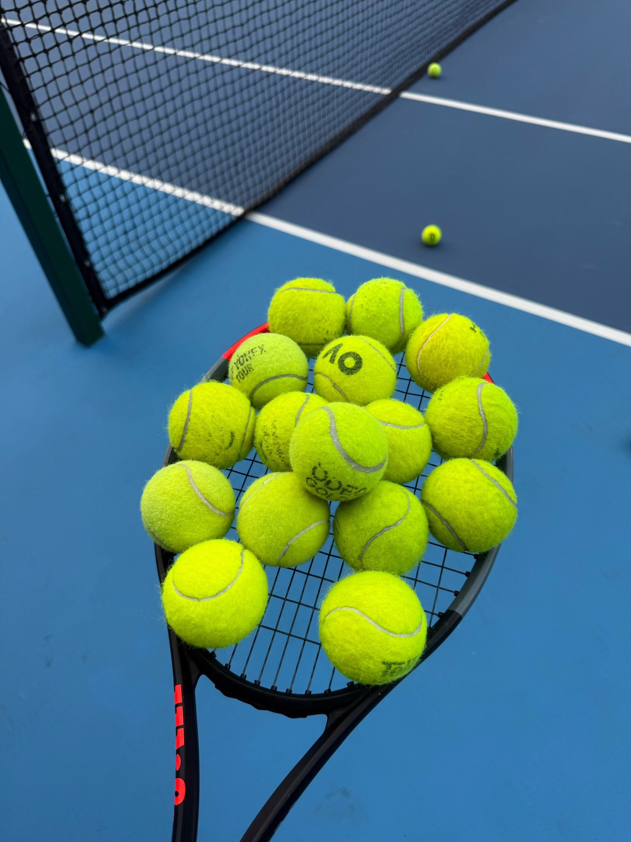 能转化为得 能转化为得