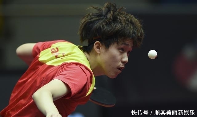 樊振东等新 樊振东等新